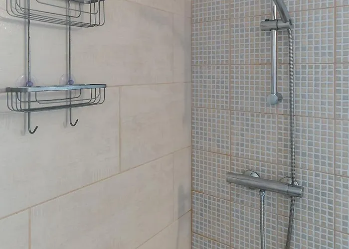 V036 - Joan Vinyoli 2 로지즈